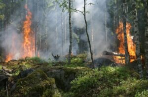Incendios forestales, tormentas e inundaciones contribuyen al récord del 92% de las pérdidas aseguradas globales en 2025, señala Swiss Re Institute